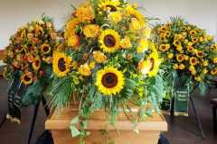 IMG-20240428-WA0019